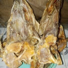 Apama stockfish head NenaExport