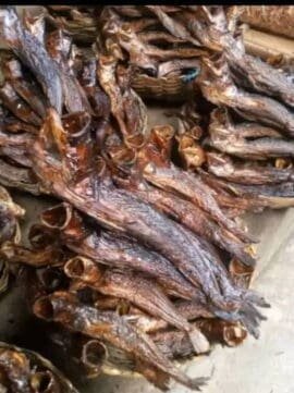 dried croaker fish NenaExport